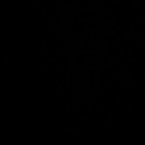 Meet your Posher, Gloria